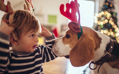 image for Do Pets Make Good Gifts?